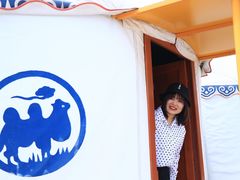 -关山草原