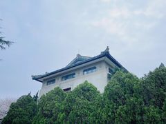 -武汉大学-樱园