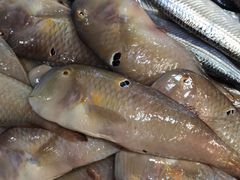 -青石桥市场北1-27号