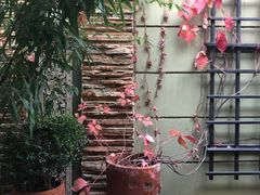 -春晖园度假酒店温泉