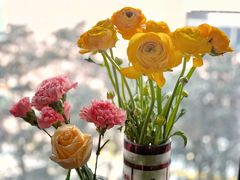 -双季花艺园艺市场(浦东店)