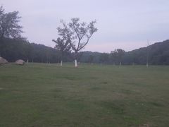 -羊山湖公园