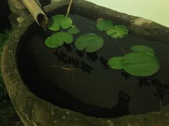-慢丽江·云南野生菌土鸡锅(西山店)