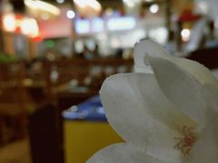 -小胖墩炝锅鱼(天钥桥路店)
