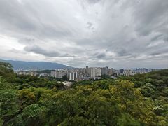 -金鸡山公园