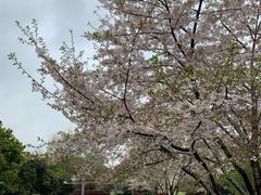 -玉山公园
