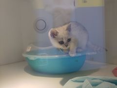 -龟与熊猫宠物公园(南坪店)