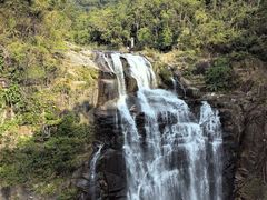 -海南热带雨林国家公园吊罗山景区