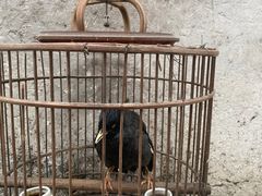 -仓桥直街