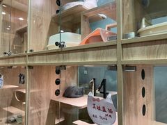 -BABIT巴比特宠物(MOMOPARK店)