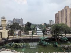 -鮨龍
