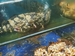 -南海渔家•海鲜•正宗海南菜(海棠湾店)