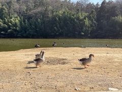 -杭州野生动物世界