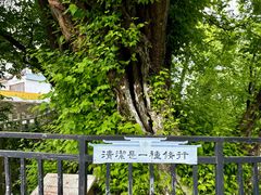 -五祖寺