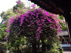 -成都杜甫草堂博物馆