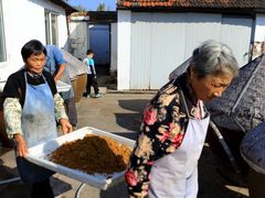 -苏州市吴中区光福窑上花果蜜饯厂