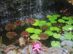 -国家植物园南园