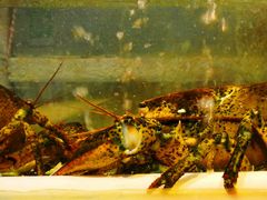 -天津金元宝滨海农产品交易市场(共发大道)