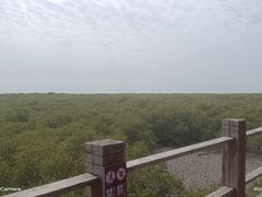 -北海金海湾红树林生态旅游区