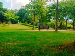 景点-大沙河公园