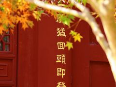 -莆田南少林寺