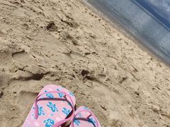 -海角城白海豚浪漫海滩