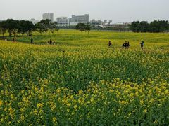 -光明小镇欢乐田园