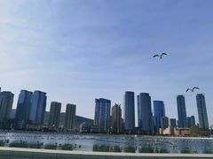 -星海广场