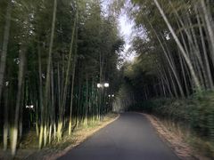 -苏州环秀晓筑养生度假村