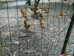 -邹记·美食(斗门店)