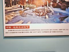 -呼伦贝尔民族博物馆