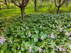 -长春市南湖公园