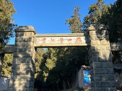 -泰山风景名胜区-普照寺