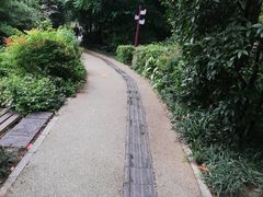 -成都市活水公园