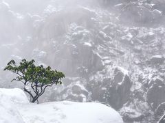 -黄山温泉国际旅游度假区