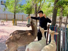 -水上乐园·欢乐世界