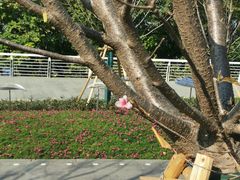 -上海山野camping·户外天幕烧烤·团建拓展营地