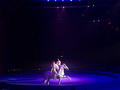 -珠海横琴长隆《卡卡虎奇遇记》