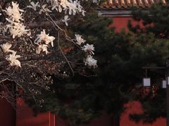 -北京市劳动人民文化宫(太庙)