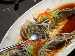 -前海沿·青岛菜(大拇指广场石老人店)