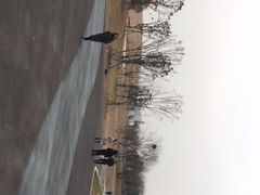 -盘龙城国家考古遗址公园