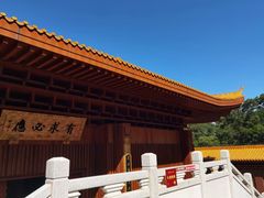 -深圳仙湖植物园-停车场