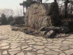 -大兴滨河森林公园