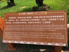 -南诏风情岛
