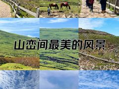 -灵山