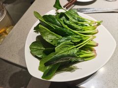 -海底捞火锅(奥森店)