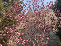 -东华门大街小区