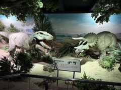 -国家自然博物馆