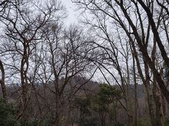 -杭州张苍水先生祠