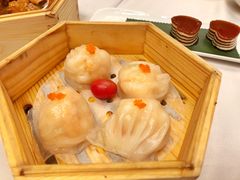 -粤江春·早茶·潮粤菜·宴会(罗湖宝能中心店)